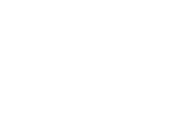 White Bull Insurance Group LLC — The strength and transparency, the White Bull way